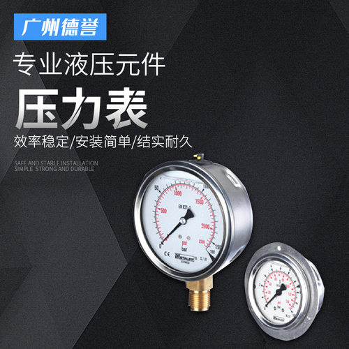 西德福SPG不锈钢充油压力表