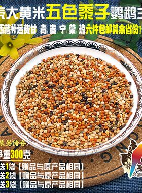 大黄米五色黍子虎皮牡丹玄凤中小型鹦鹉文鸟鸟粮鸟食饲料1件包邮