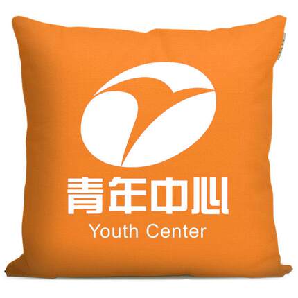 共青团玩聚在一起双面沙发靠枕定制印LOGO文字青年中心抱枕
