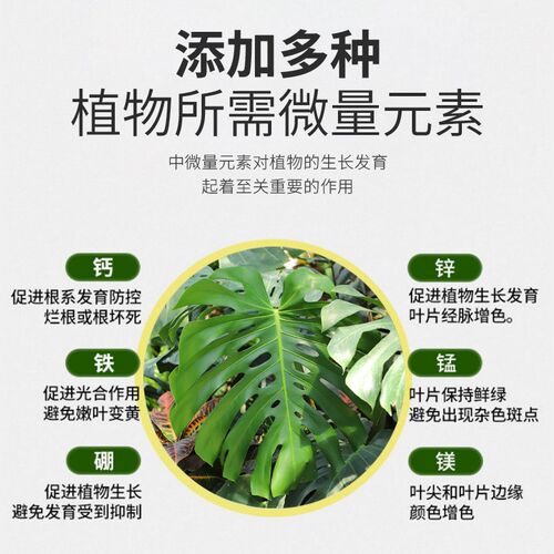 龟背竹专用肥水培营养液土培肥料天南星科观叶植物绿植盆栽花肥