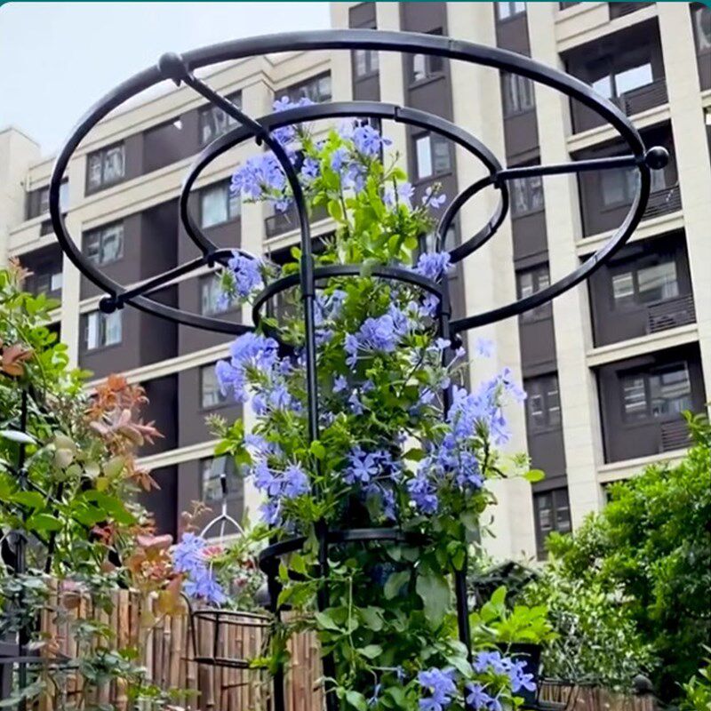 伞形花架支撑杆户外庭院钢管置物架室外花园植物月季玫瑰爬藤架子