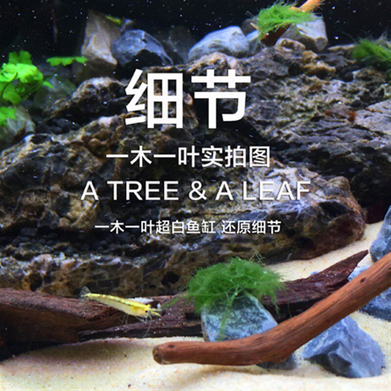 超白鱼缸 包邮 金晶超白 草缸 海水缸 造景缸一木一叶超白缸