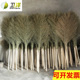 卫洋扫马路扫把环卫工大扫把纯手工竹扫帚扫院子清洁工家用小扫帚