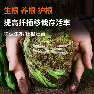 德沃多肥料生根粉植物扦插发根快速强力剂杀菌壮苗多肉移栽通用花