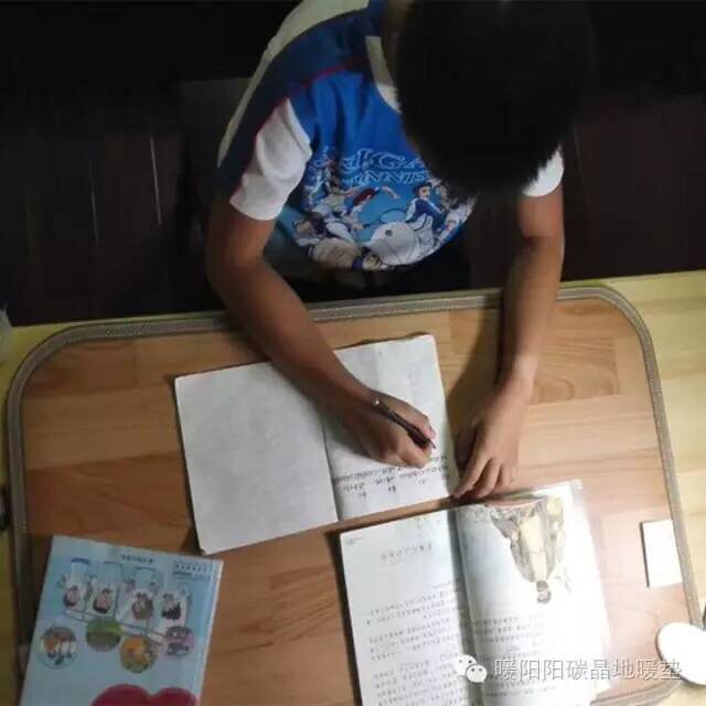 客厅沙发前地暖加热地毯宠物保温发热毯桌面电热碳晶地垫地热垫子
