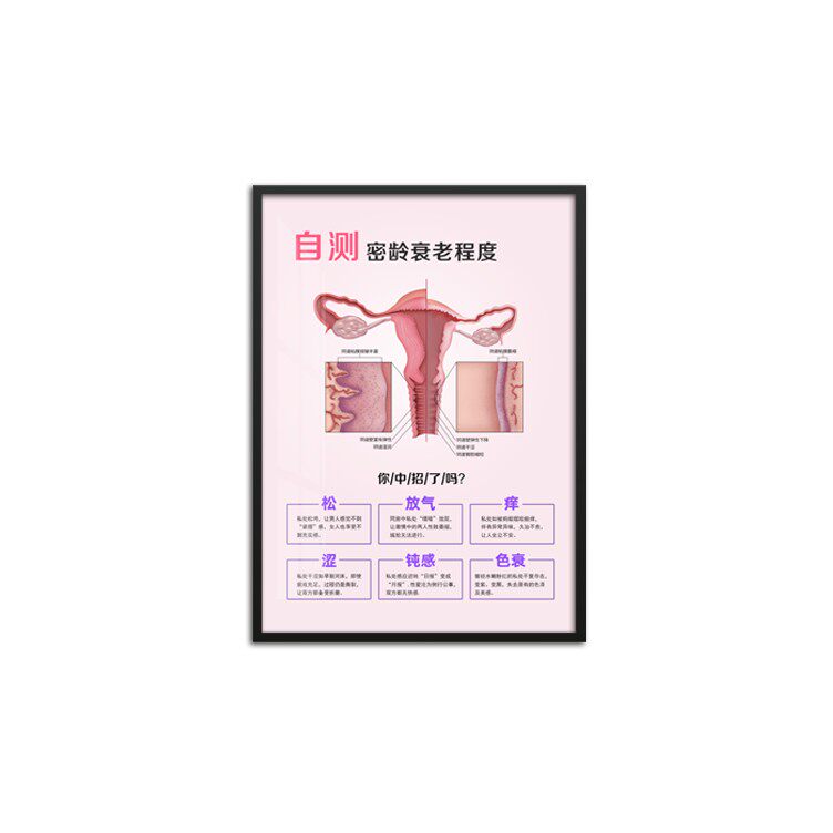 密龄衰老自测有框挂画 产科月子中心装饰画美容院生殖保养墙壁画