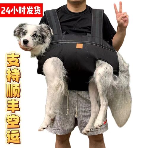 宠物狗狗背包中大型犬多功能户外助行走上下楼担架残疾手提辅助带