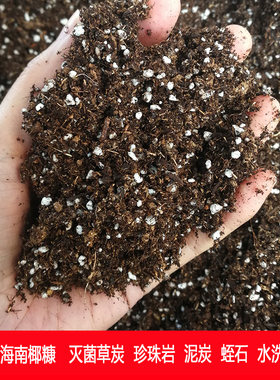 海南有机营养土种菜专用土种花蔬菜瓜果百香果扦泥炭土育苗椰糠土