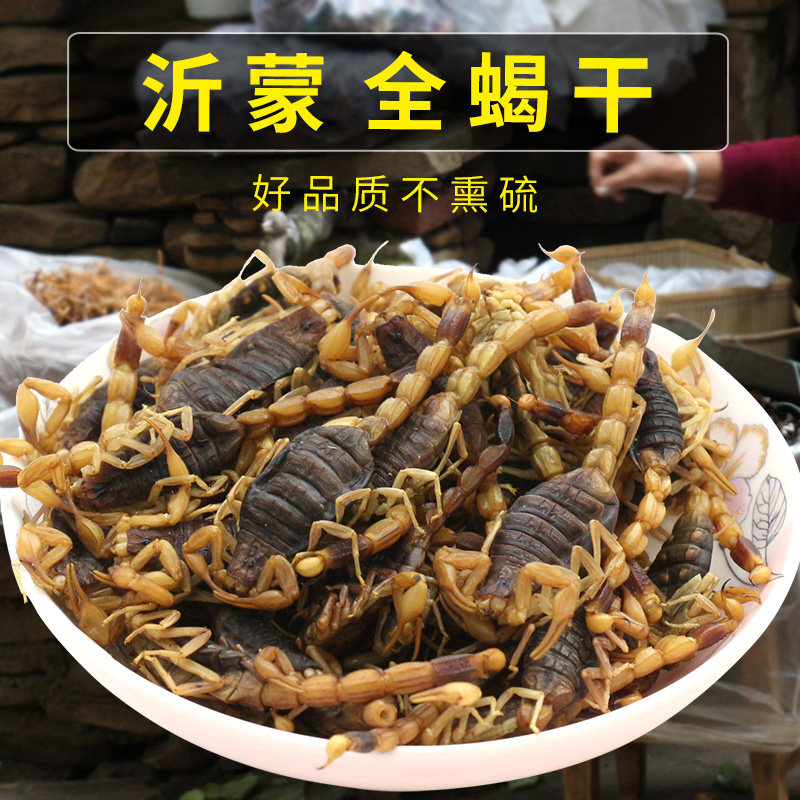 沂蒙山十足蝎子干清水蝎子干全虫蝎子全蝎泡酒干50克包邮冷冻保存