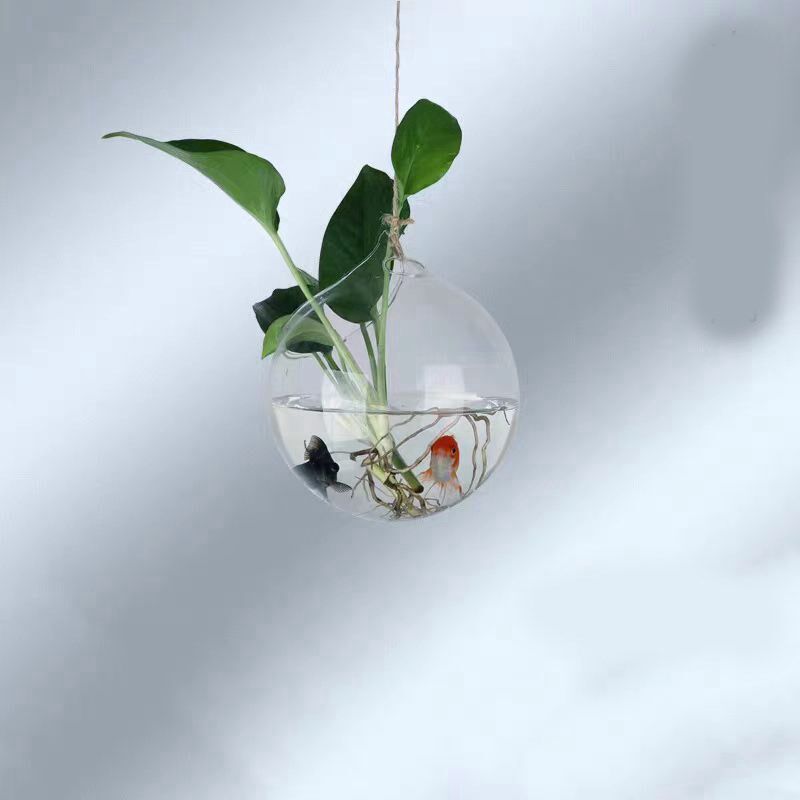 创意悬挂水培玻璃花瓶壁挂多肉植物吊球吊瓶婚庆道具挂装饰小鱼缸