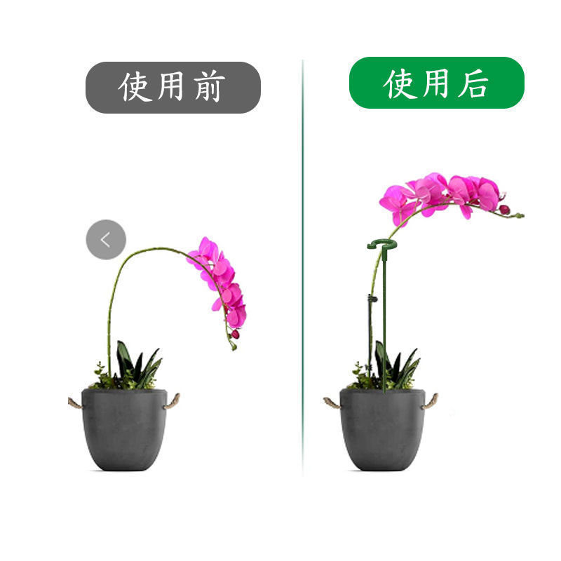 植物固定防倒伏花架子园艺支撑单杆室外花园月季爬藤种菜捆扎支架