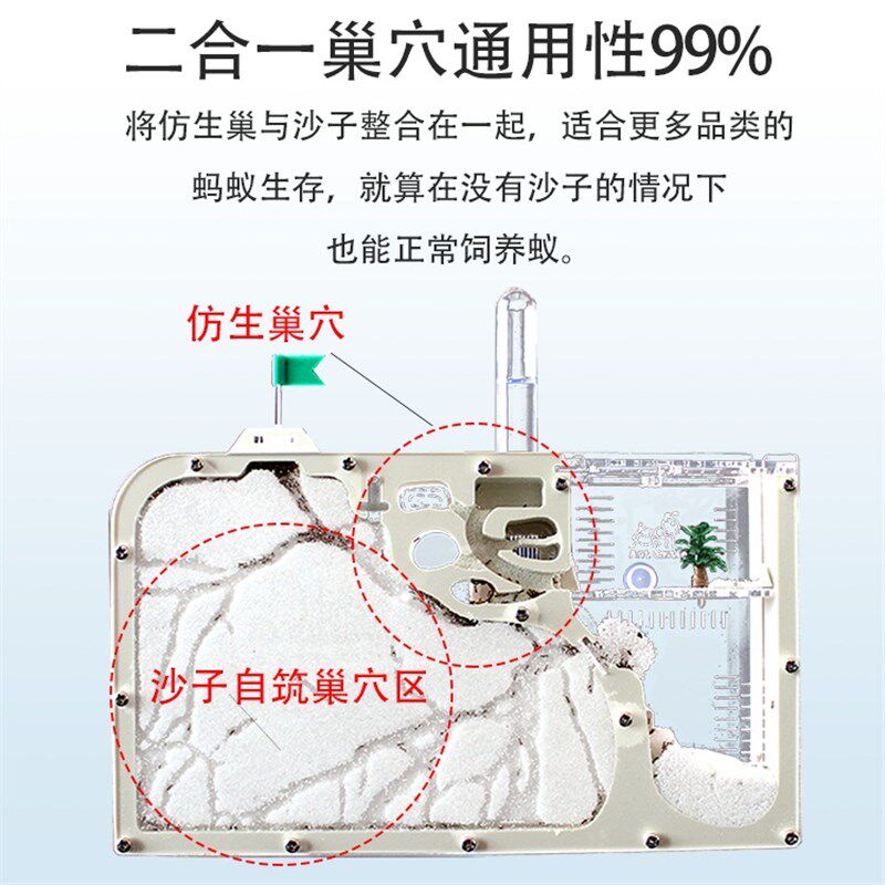 可产卵繁殖的蚂蚁工坊 蚂蚁城堡 蚂蚁部落 蚂蚁庄园送蚁后群沙巢