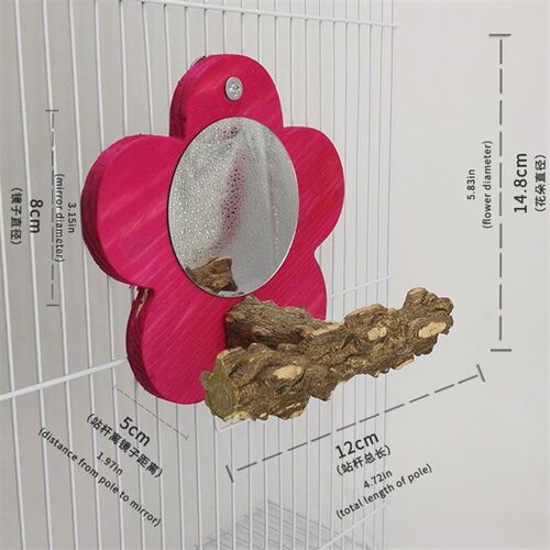 宠物用品玩具鸟镜子鹦鹉镜子花椒木镜子鹦鹉专用镜子宠物鸟玩具