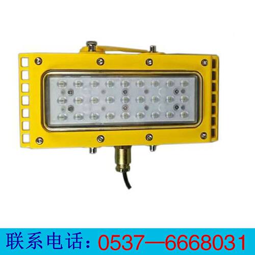 矿用隔爆本安LED支架灯