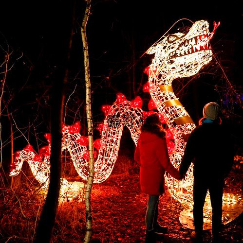 户外LED3D立体恐龙装饰景观街道节日工程亮化 LED动物造型灯