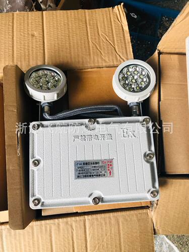 BYJ52防爆应急灯 双头防爆应急灯 24V/36V