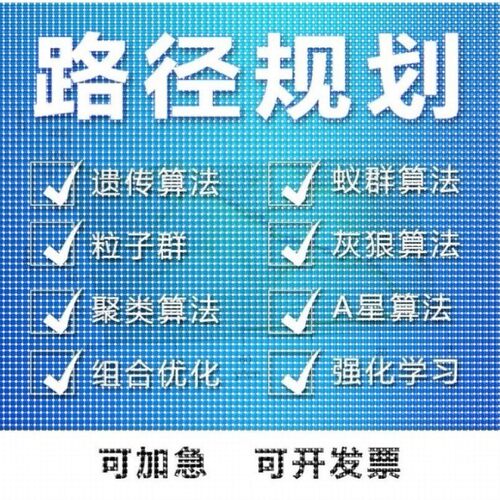matlab路径规划遗传蚁群蜂群狼群算法代编python强化学习组合优化