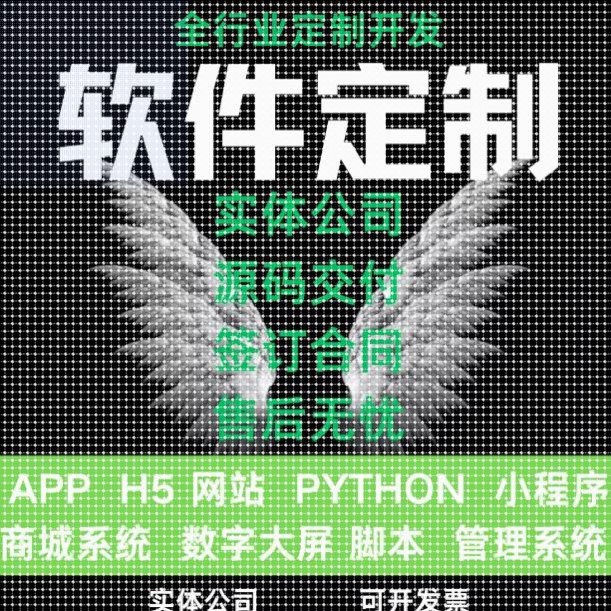 二次调试小程序java代做软件开发python定制PHP代编写代码修改asp