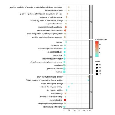 生信分析服务单细胞测序转录组r语言生物信息TCGA GEO数据库挖掘