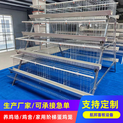 鸡笼厂家 冷镀锌 热镀锌三层四层蛋鸡笼阶梯蛋鸡笼养殖设备定制