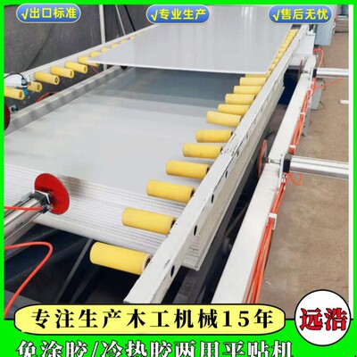 订置家具板木纹PVC贴面机自