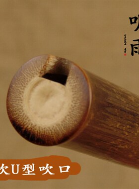[听雨]8八孔F G调琴箫专业演奏琴萧紫竹洞箫精制一节竹箫乐器初学