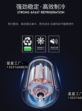 星星格林斯达SG1.0C2大二门冷藏展示柜 厨房冰箱蔬菜肉保鲜点菜柜