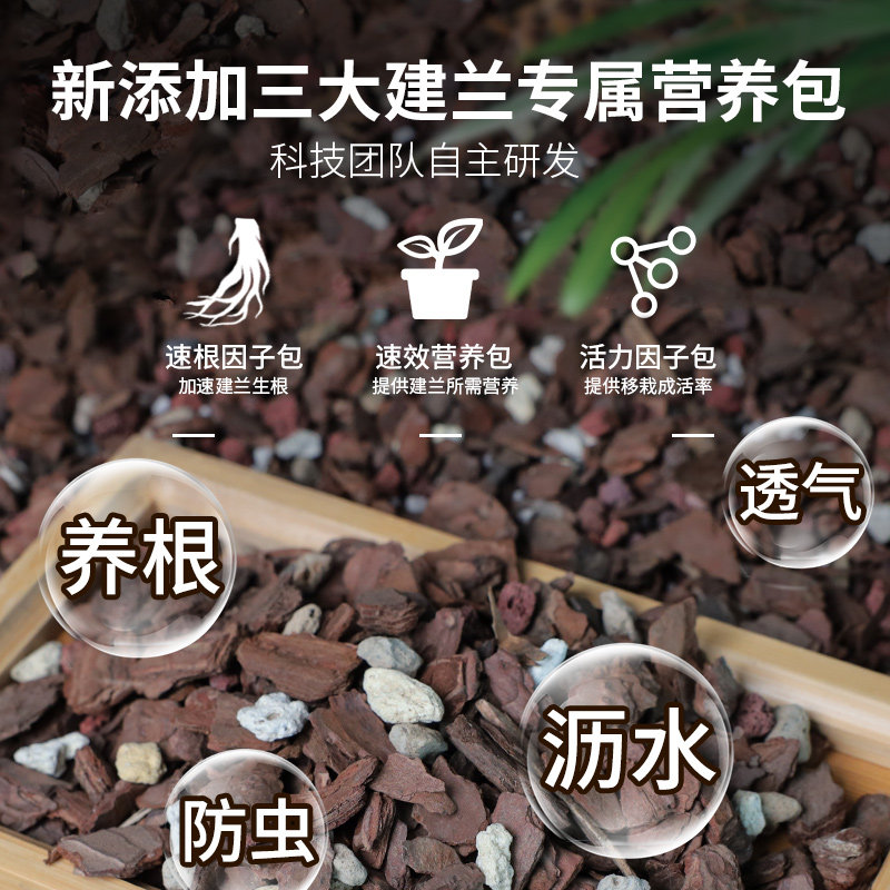 建兰专用土剑兰专用营养土专用肥料养兰花盆栽种植专用植料松树皮
