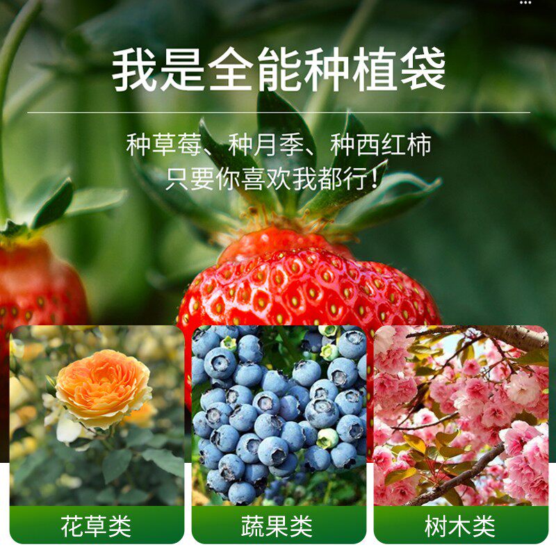 种植袋美植树袋无纺布育苗盆营养钵加厚阳台楼顶花盆透气可折叠