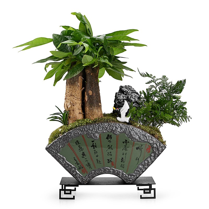 发财树绿植盆栽办公室装饰客厅文艺玄关送礼盆景造景创意桌面摆件