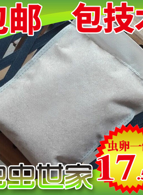 黄粉虫卵 面包虫种虫卵 引种养殖虫卵 家庭养殖 宠物饲料 包邮