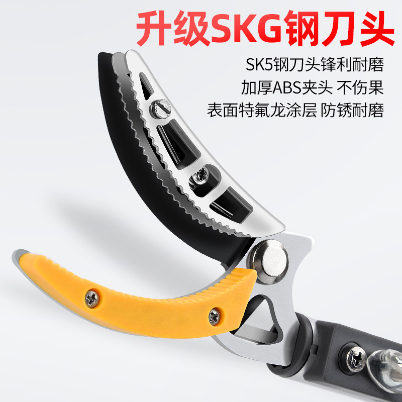 SK5材质伸缩高枝水果采摘器 多段伸缩摘果工具高空摘荔枝剪刀加长