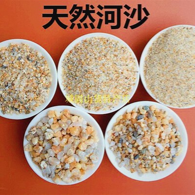 天然粗河沙多肉铺面石头拌土粗沙子颗粒种植花用河砂土鱼缸底沙石