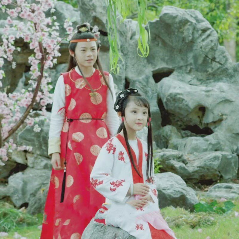 87版红楼梦古装表演服女林黛玉贾宝玉角色表演服小戏骨舞台剧服装