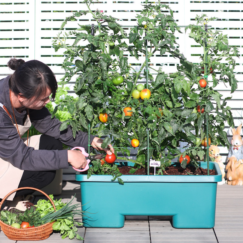 花盆高脚盆家用塑料白色高款花盆自吸水长方形大花盆托盘带轮花箱