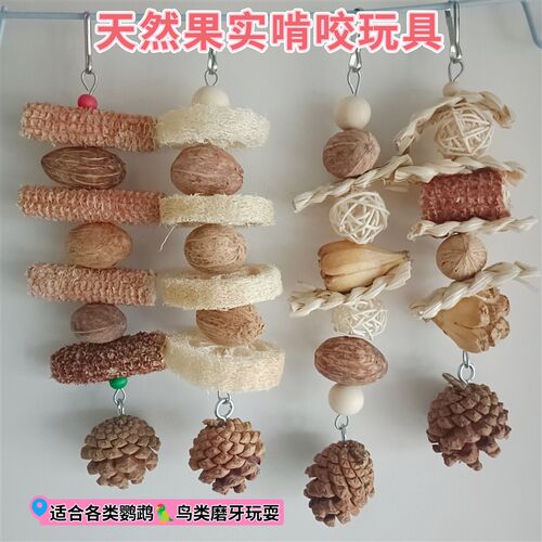 鹦鹉天然果实啃咬玩具鸟磨爪棒玄凤虎皮牡丹文鸟笼挂饰丝瓜烙藤球