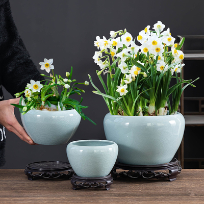 水仙花盆哥窑水培器皿大小号缸盆粉青陶瓷绿植水养无孔大口径带托