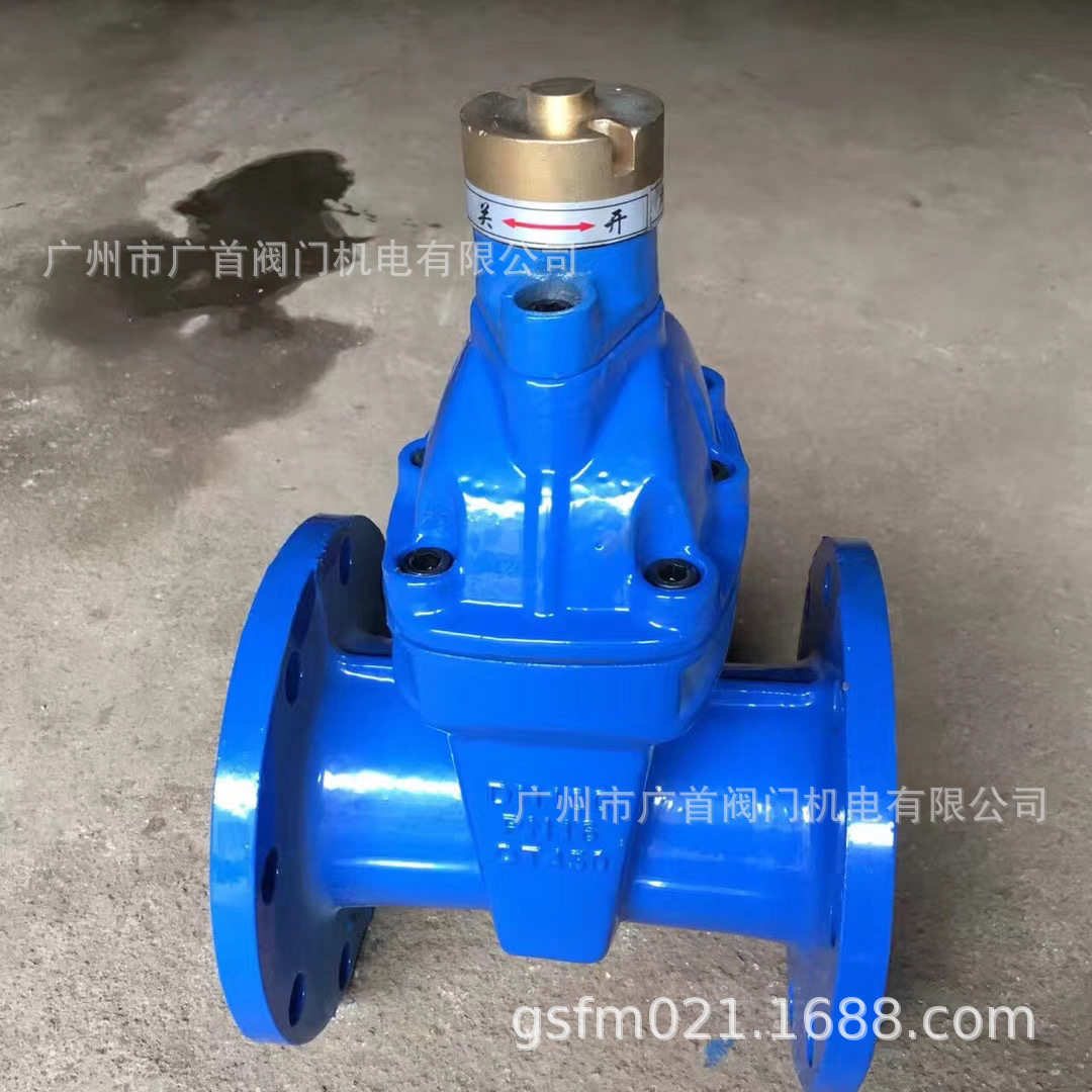软密封明杆闸阀弹性座封阀门Z41X-16Q工程水用闸图片
