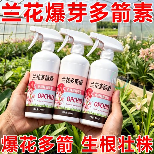 均衡养分催花拔箭养兰花好帮手