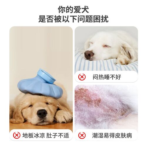 啵拉宠物行军床猫狗四季通用离地床防潮透气可拆洗猫窝大中小型犬