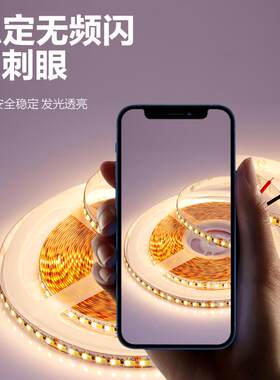 低压12V灯带led三色变色家用柜台装饰双色调光软灯条超亮霓虹灯线