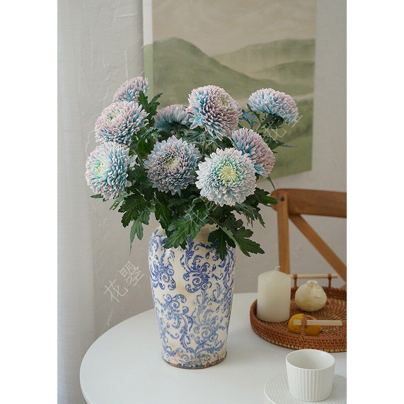 花曌 青花瓷牡丹菊【鲜花】【真花】【吸色】【家居插花水养】