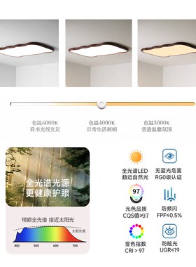 中古vintage侘寂复古风卧室书房吸顶灯新中式胡桃木色LED客厅灯具