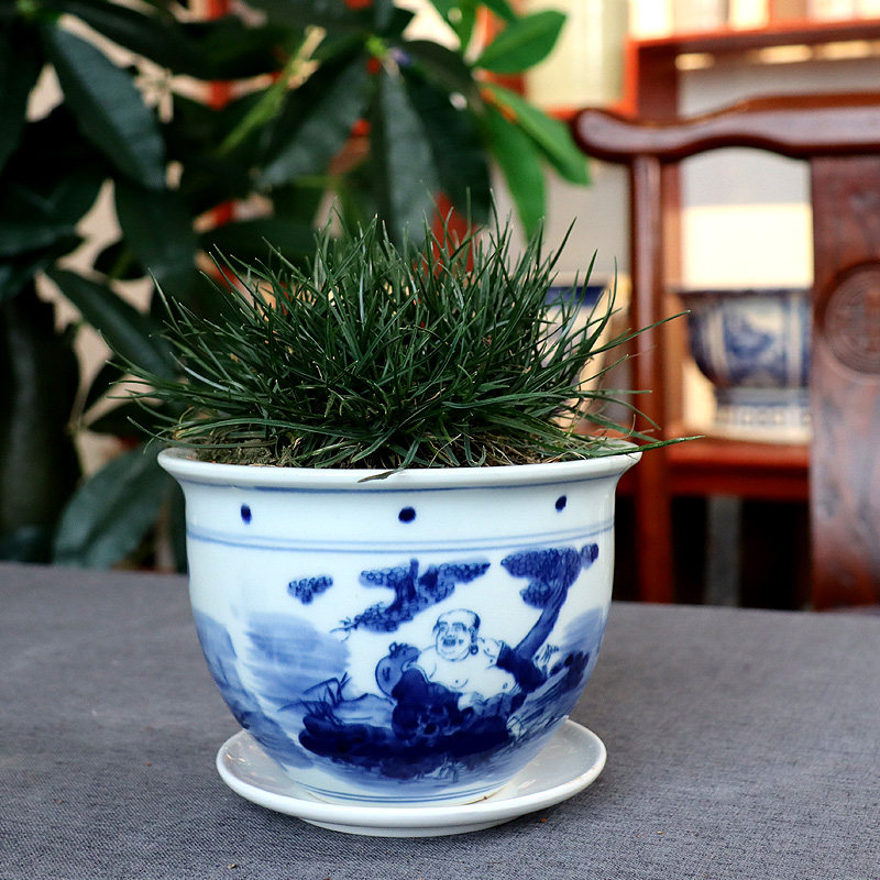 景德镇陶瓷花盆青花瓷康熙绿植中式纯手绘釉下彩菖蒲盆无孔种花