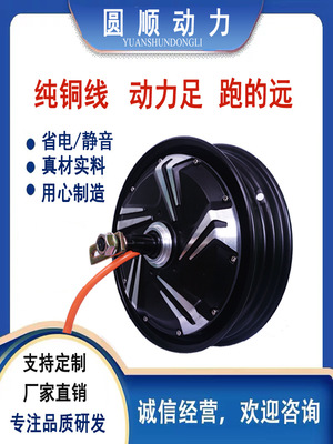 10寸新国标电动车电摩1000W1200W改装48V60V高速扭矩电机