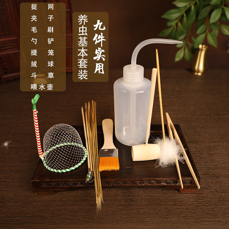 蛐蛐蟋蟀黑虫油葫芦鸣虫饲养罐用品工具捉网夹子毛刷斗草提笼套装