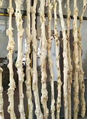 干树枝去皮白树枝装饰鸿运树摆件造景橱窗道具实木造型枯树藤条杆