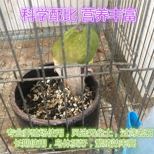 追尾鹦鹉鸟粮鸟食蜡嘴铜嘴饲料中型鹦鹉粮混合瓜子营养粮