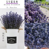 干花薰衣草干花花束天然干花装 饰摆件家居客厅摆设花瓶助眠香薰花