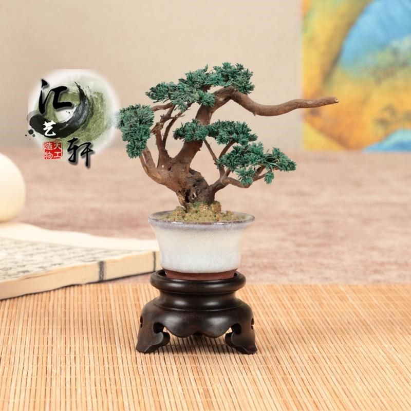实木大红酸枝微型盆栽展示木托整木铭杯兰花杯花器核桃摆件圆底座
